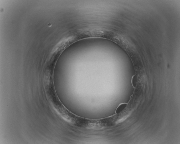 X0000066080744200603311935