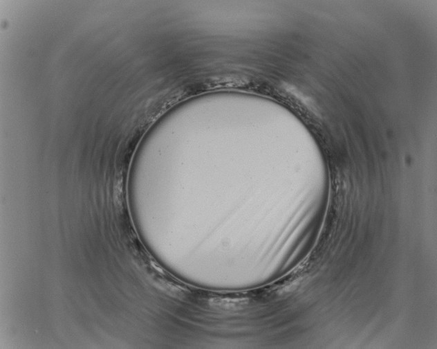 X0000066080745200603311935