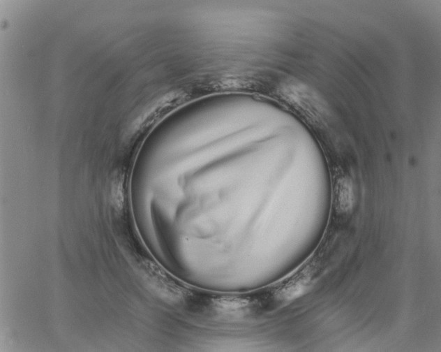 X0000066080746200603311935