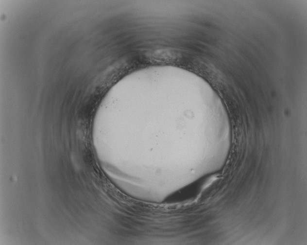 X0000066080749200603311935