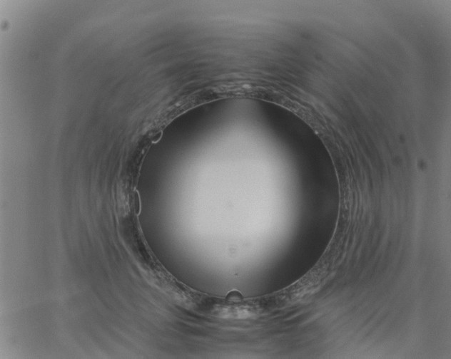 X0000066080751200603311935