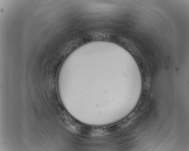 X0000066080753200603311935