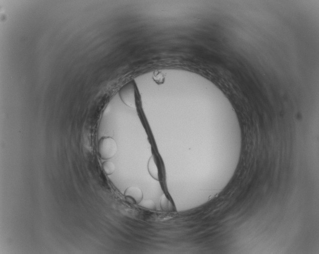 X0000066080755200603311935