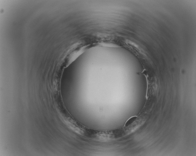 X0000066080756200603311935