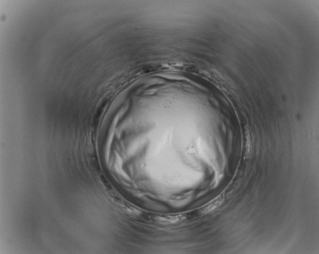 X0000066080757200603311935