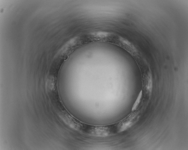 X0000066080758200603311935