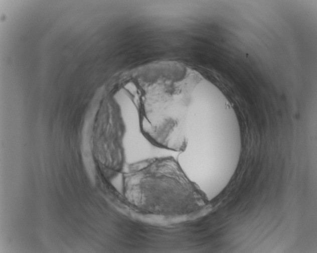 X0000066080761200603311935