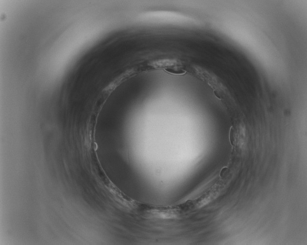 X0000066080763200603311935