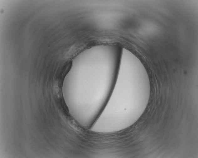 X0000066080764200603311935