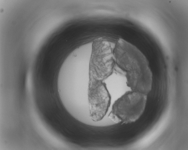 X0000066080765200603311935