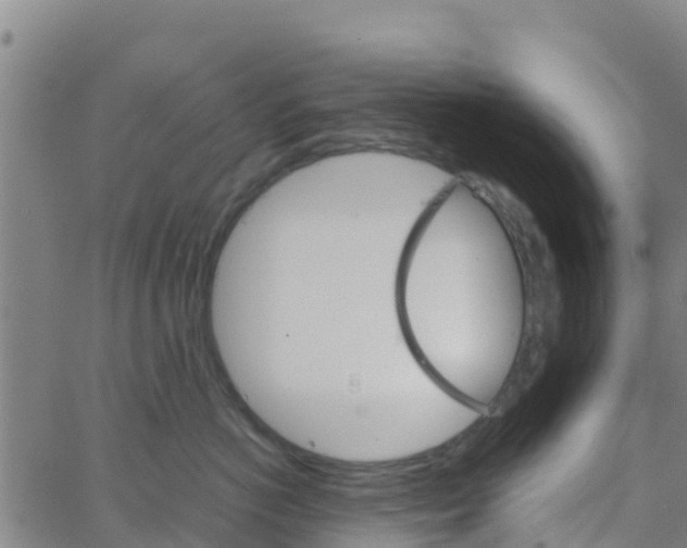 X0000066080766200603311935