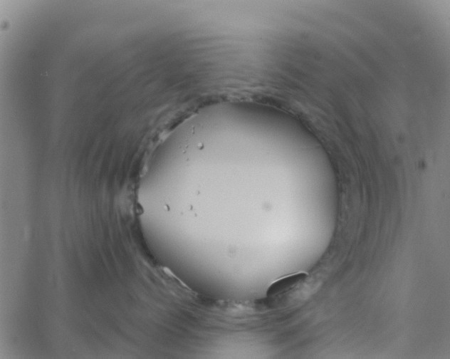 X0000066080768200603311935