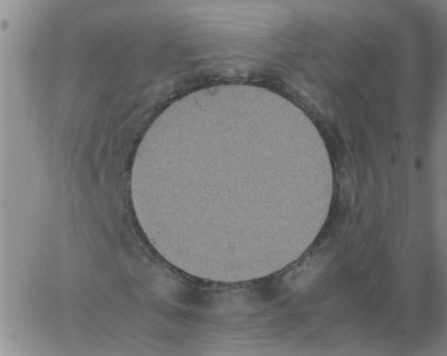 X0000066080769200603311934