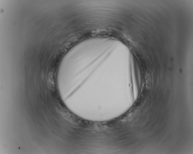 X0000066080770200603311934