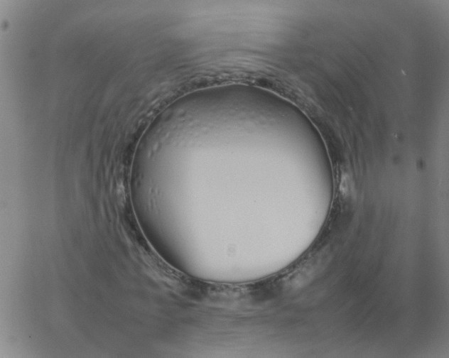 X0000066080771200603311934