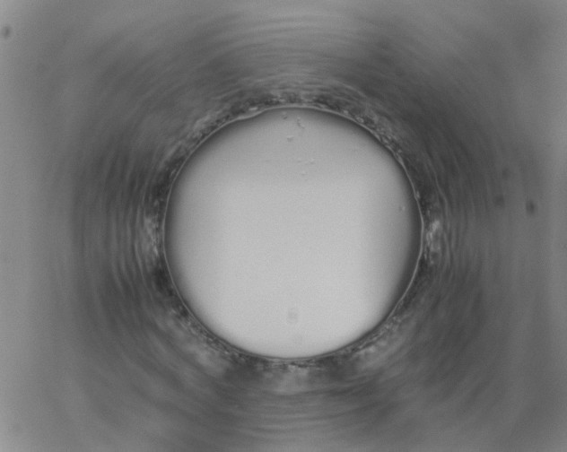 X0000066080772200603311934