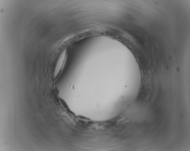 X0000066080773200603311934