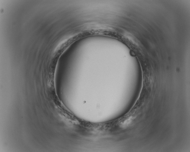 X0000066080775200603311934