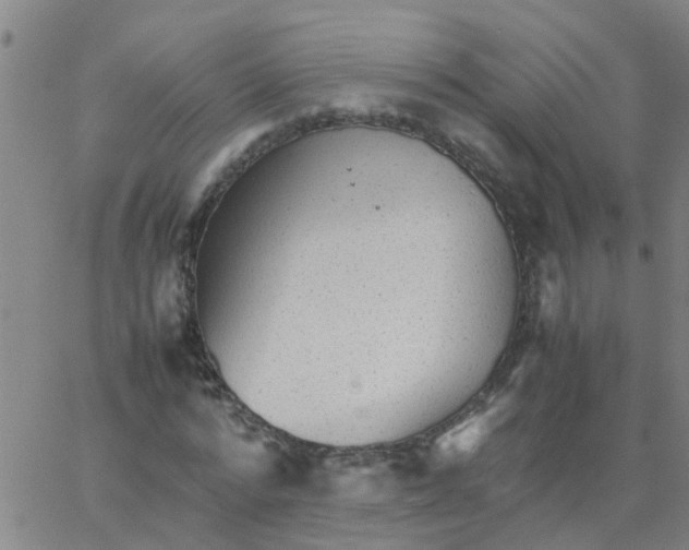 X0000066080776200603311934