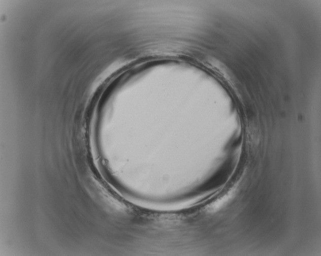 X0000066080779200603311934