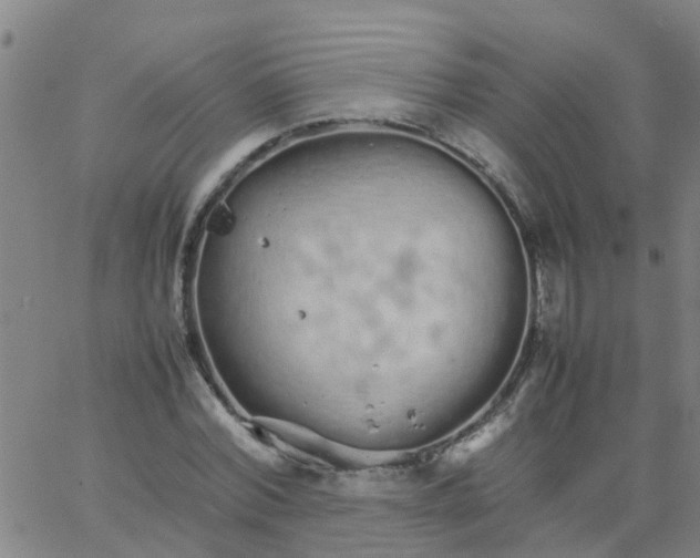 X0000066080780200603311934