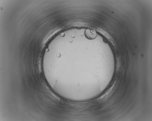 X0000066080782200603311934