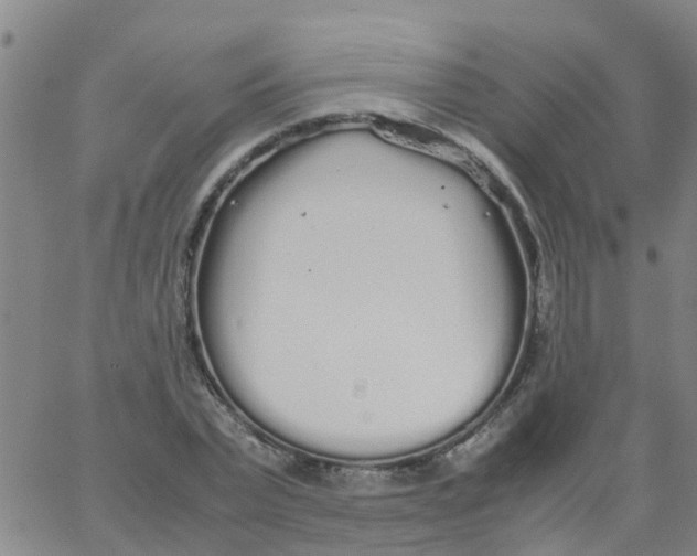 X0000066080783200603311934