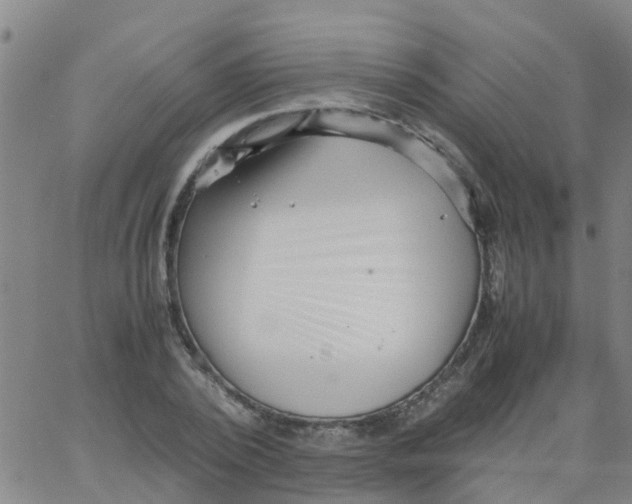 X0000066080784200603311934