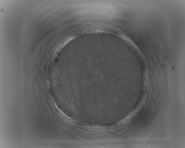 X0000066080785200603311934