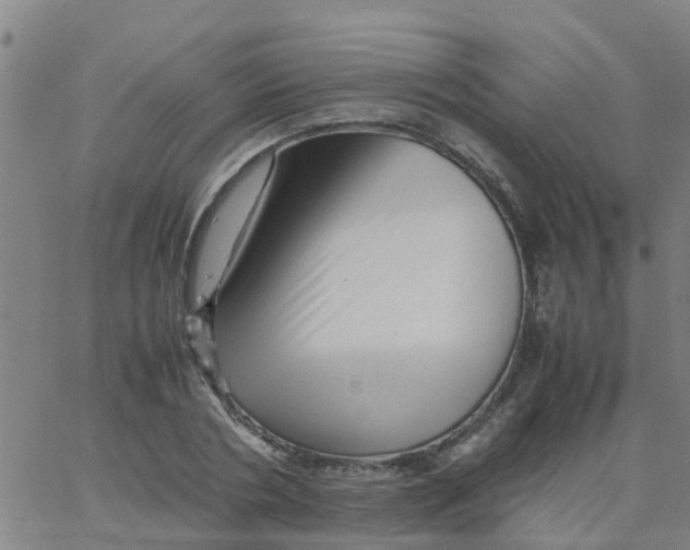 X0000066080786200603311934