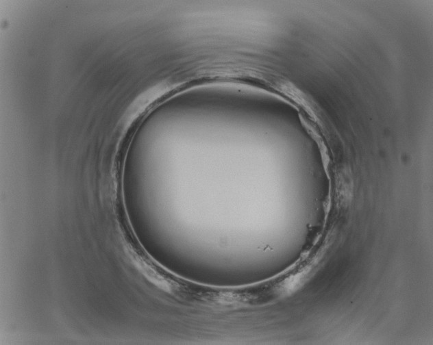 X0000066080787200603311934