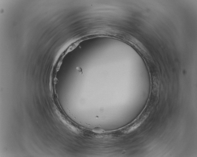 X0000066080788200603311934