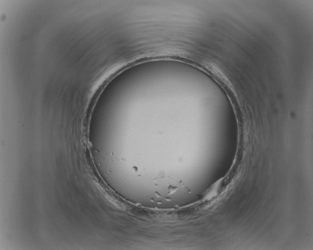 X0000066080789200603311934