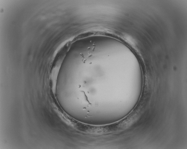 X0000066080791200603311934