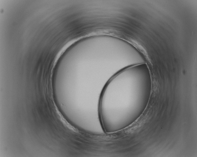 X0000066080792200603311934