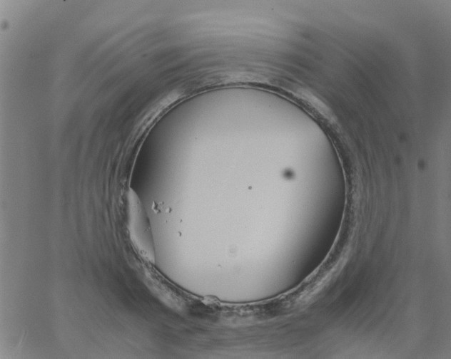 X0000066080793200603311934