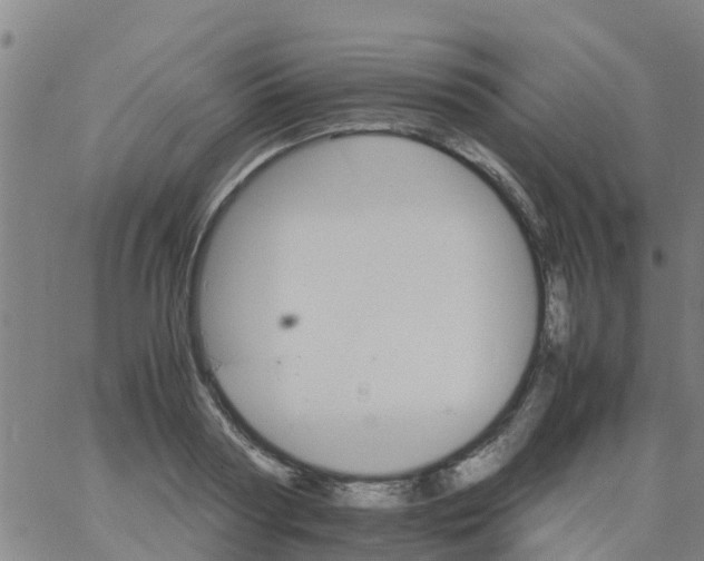 X0000066080794200603311934