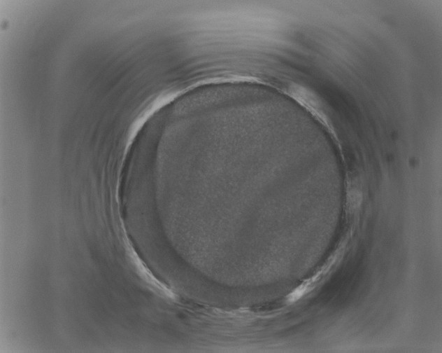 X0000066080797200603311934