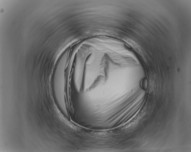 X0000066080798200603311934