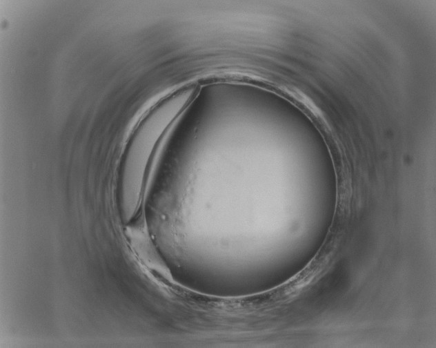 X0000066080799200603311934