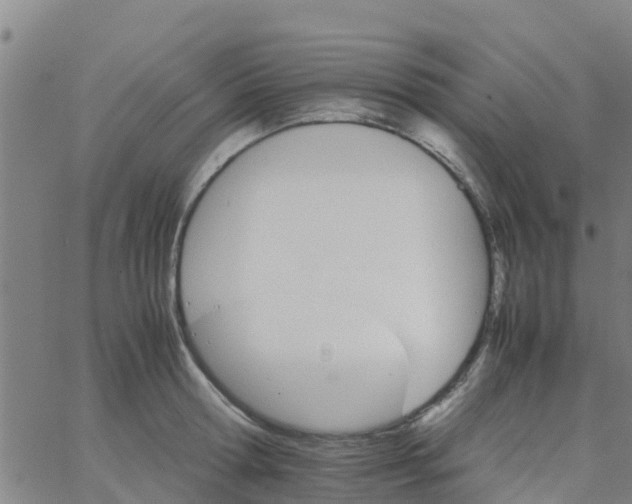 X0000066080802200603311934