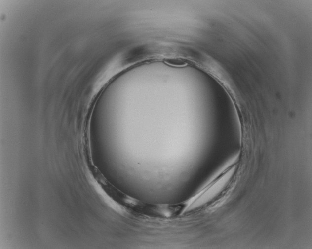 X0000066080803200603311934