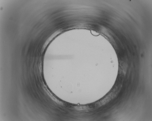 X0000066080804200603311934