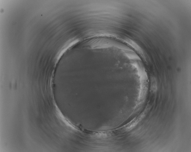 X0000066080806200603311934