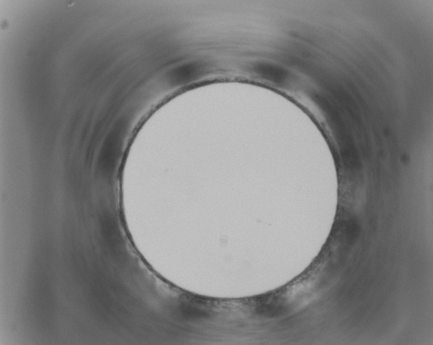 X0000066080807200603311934