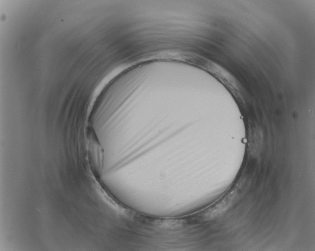 X0000066080808200603311934