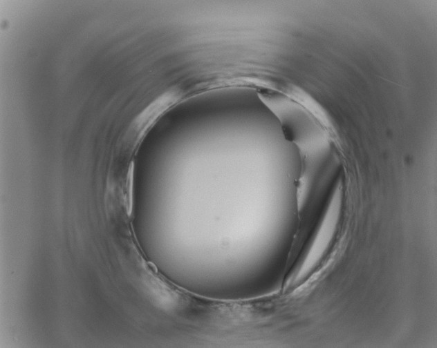 X0000066080809200603311934