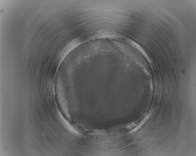 X0000066080810200603311934