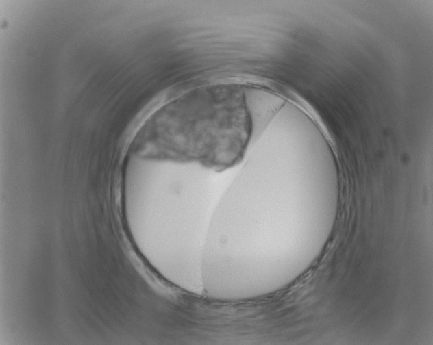 X0000066080811200603311933