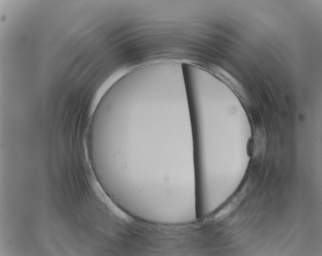 X0000066080812200603311933